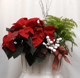 Christmas Duo - Premium from Shaw Florists in Grand Rapids, MN